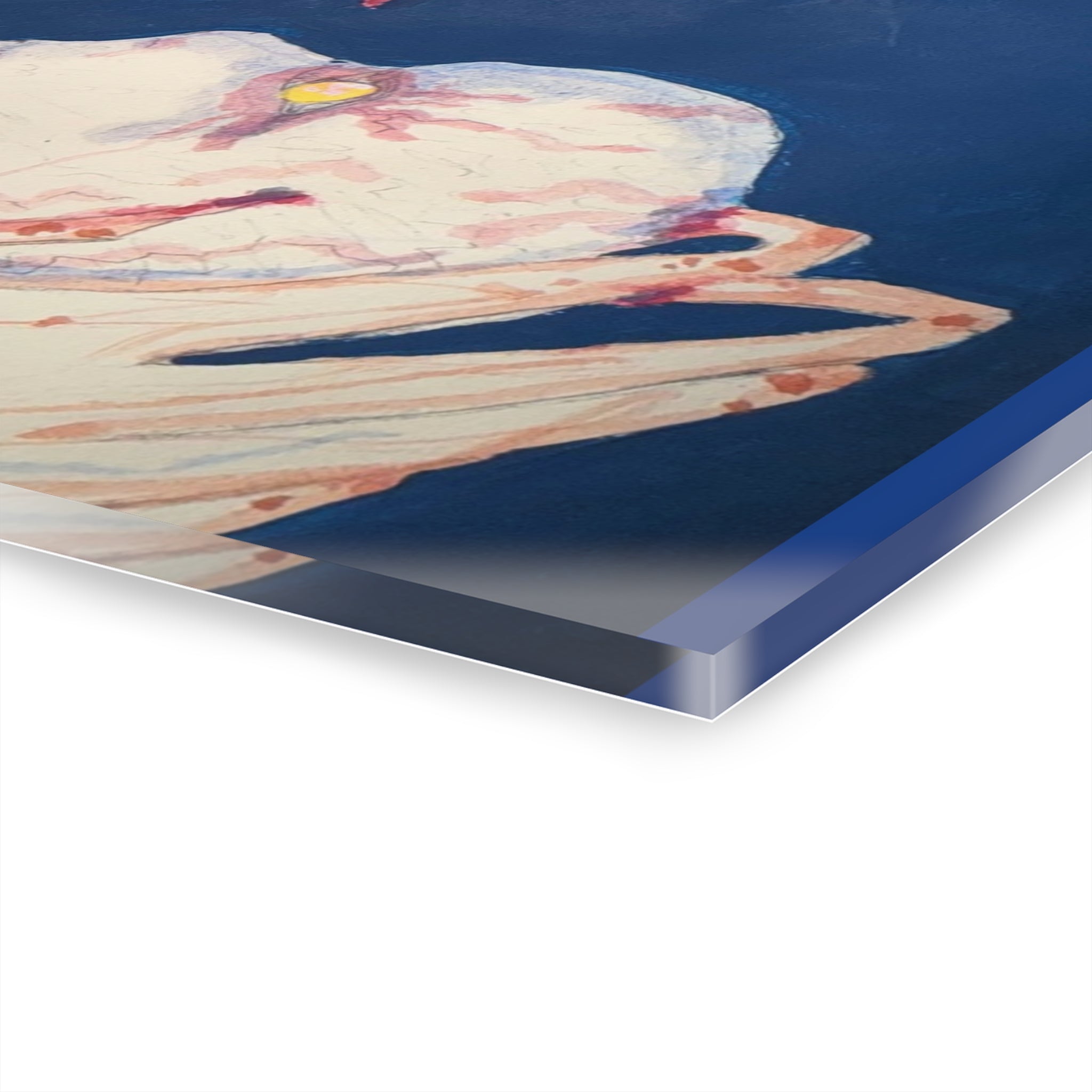 24S Acrylic Print (French Cleat Hanging)